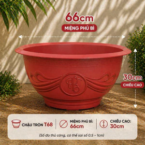 Chậu Nhựa T68 Size To - Chậu có lỗ thoát nước: trồng cây cảnh, cây ăn trái,.. [66x30]