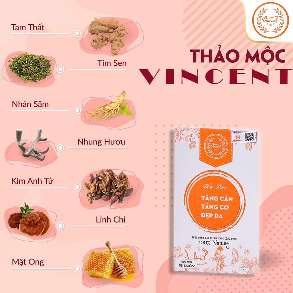 [CHÍNH HÃNG 100%] Thảo mộc tăng cân Vincent Cho Người Gầy TPCN Chính Hãng