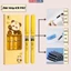 Bút Máy Bản Nâng Cấp KB-F05 - Viết Êm Trơn, Mực Ra Đều Dùng Cho Học Sinh Tiểu Học.
