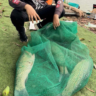 Hương Liệu Câu Cá Trắm Thảo Ngư - Đài Câu Thích