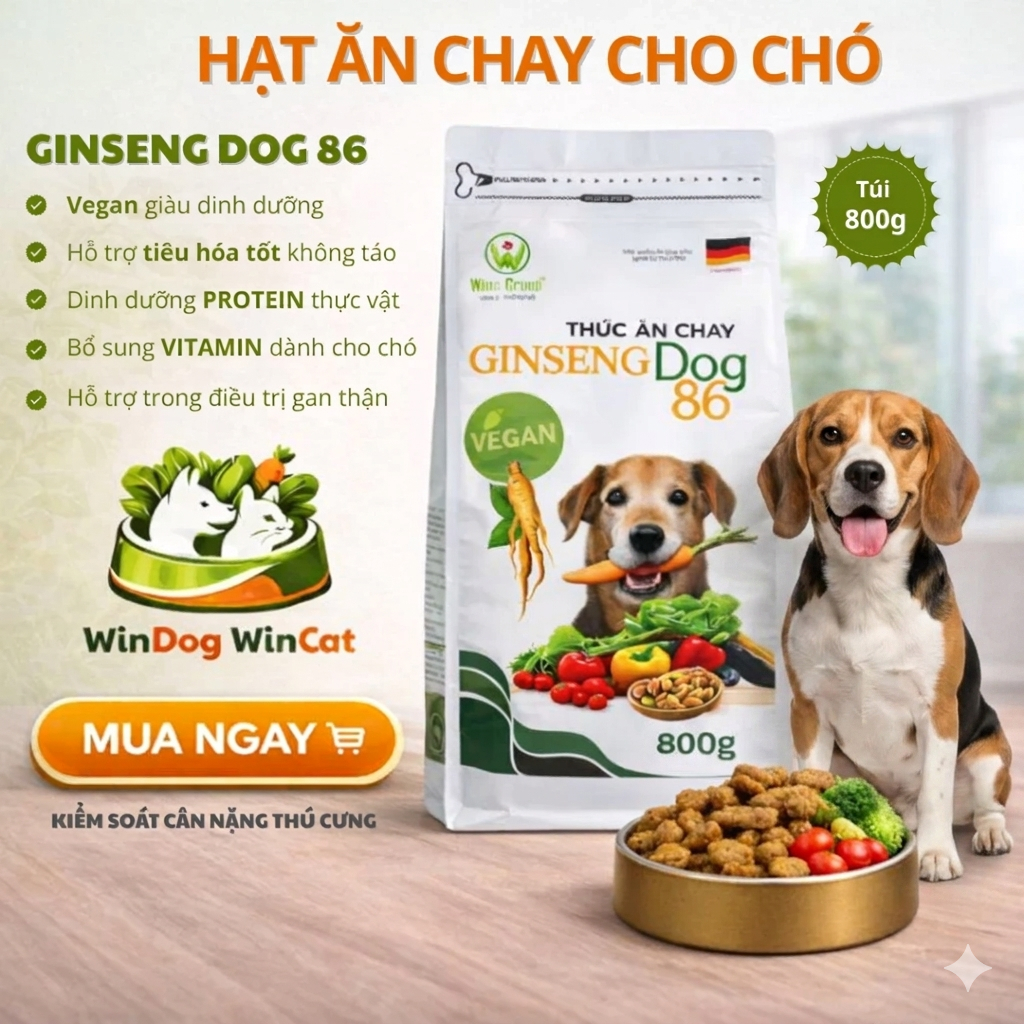 Hạt Chay Cho Chó Windog Ginseng Dog 86 – Thức Ăn Thuần Chay, Tốt Tiêu Hóa, 800g