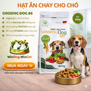 Hạt Chay Cho Chó Windog Ginseng Dog 86 – Thức Ăn Thuần Chay, Tốt Tiêu Hóa, 800g
