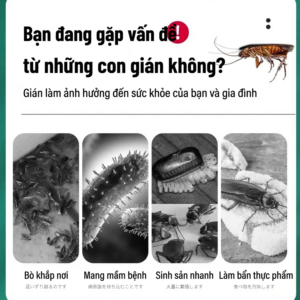 🔥 Diệt gián 99.9% 🔥 Gel/thuốc diệt gián – Mồi diệt gián 24 viên/hộp, nhiễm 1 con, cả tổ chết ✅