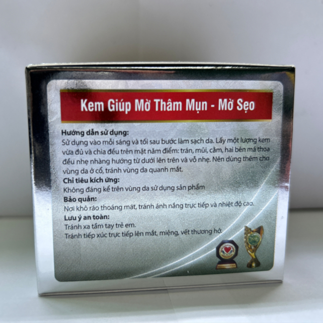 Kem Dưỡng Da Nhật Việt V11 [Xám] - Dưỡng Sáng Mịn, Kiểm Soát Nhờn, Cải Thiện Bề Mặt Da 10g