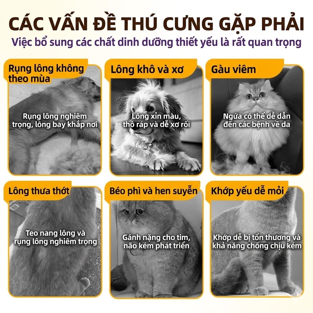 Cassiel Pet 6 Trong 1 Sản Phẩm Làm Bóng Lông Và Cải Thiện Sức Khỏe Da Giúp Giảm Rụng Lông Cho Chó Và Mèo