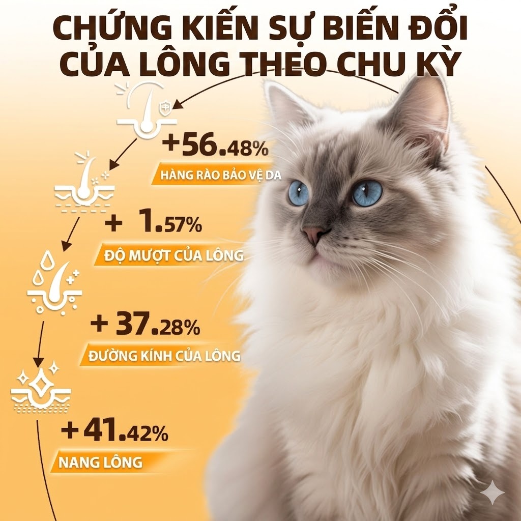 Cassiel Pet 6 Trong 1 Sản Phẩm Làm Bóng Lông Và Cải Thiện Sức Khỏe Da Giúp Giảm Rụng Lông Cho Chó Và Mèo