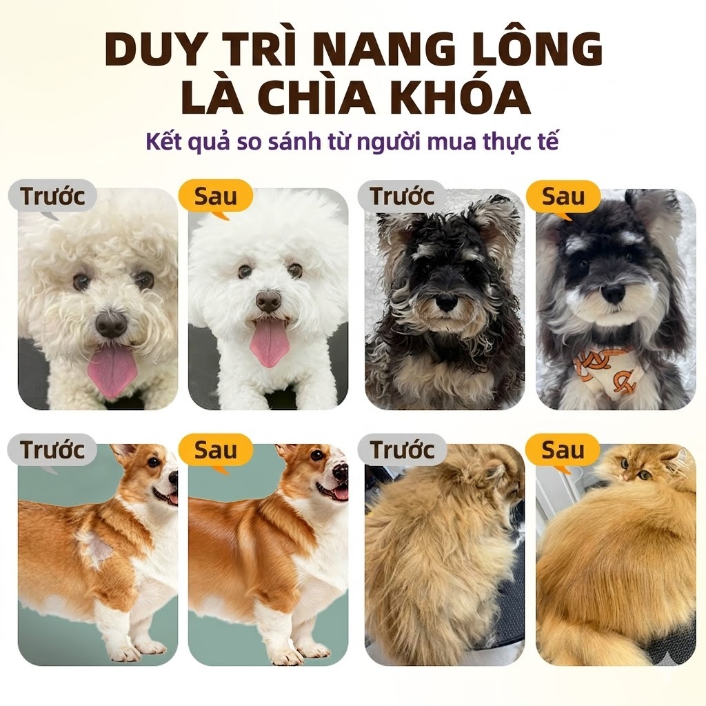 Cassiel Pet 6 Trong 1 Sản Phẩm Làm Bóng Lông Và Cải Thiện Sức Khỏe Da Giúp Giảm Rụng Lông Cho Chó Và Mèo