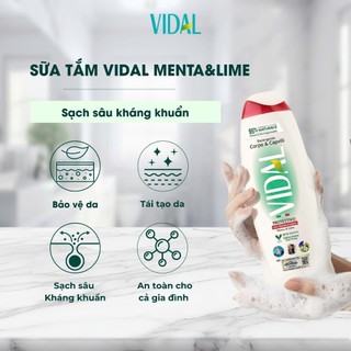 Sữa tắm gội 2 trong 1 Vidal 250ml thành phần tự nhiên dành cho cả gia đình