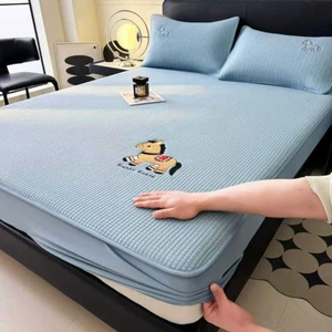 Chiếu Băng Lạnh Happy house 2026