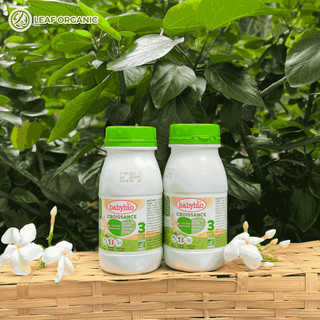 Lốc sữa dinh dưỡng tăng trưởng hữu cơ Babybio dành cho bé 10-36 tháng tuổi