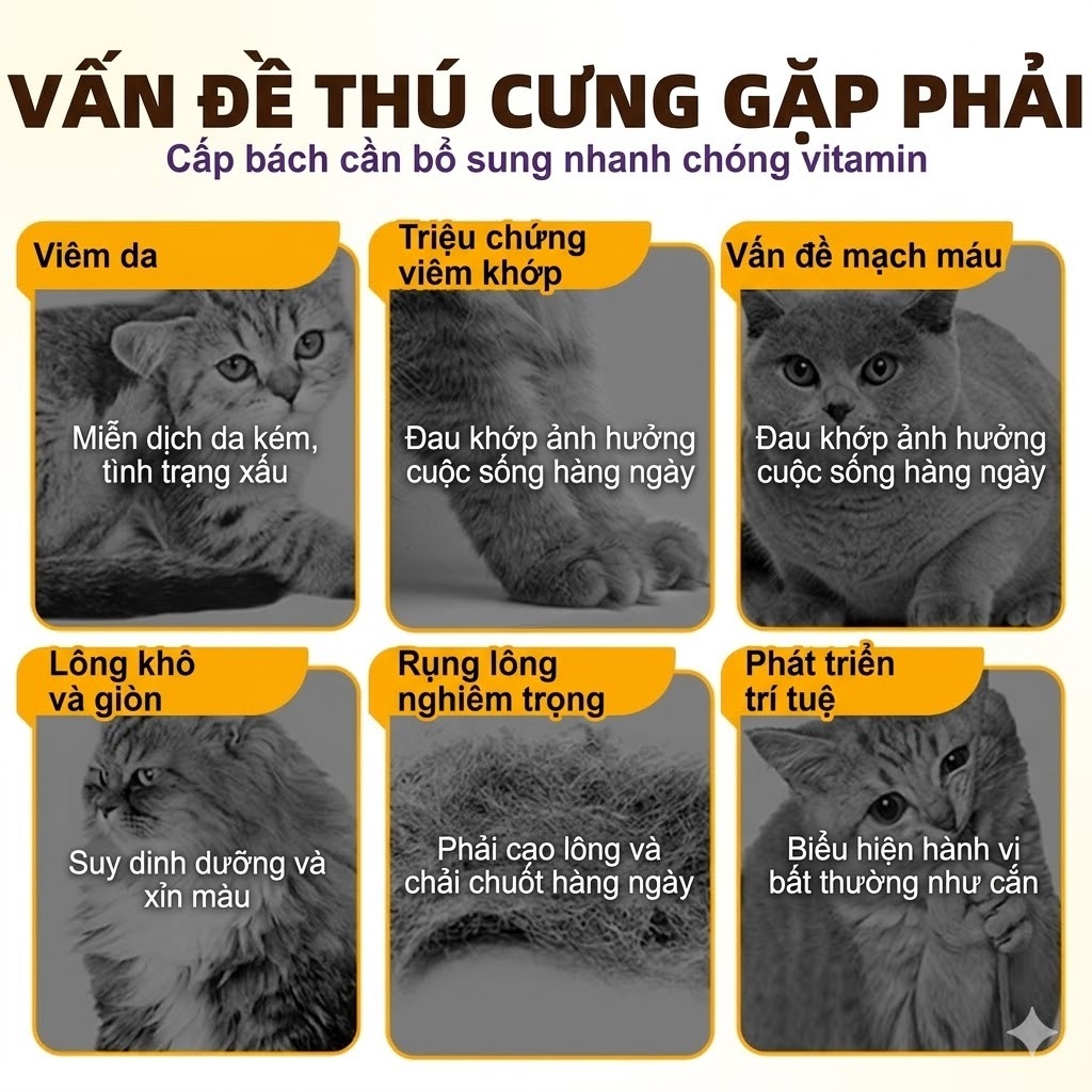 Cassiel Pet Vitamin Tổng Hợp Giúp Kích Tăng Dề Kháng Thích Sựthèm Kích Trọng Thiết Yếu Cho Chó Và Mèo