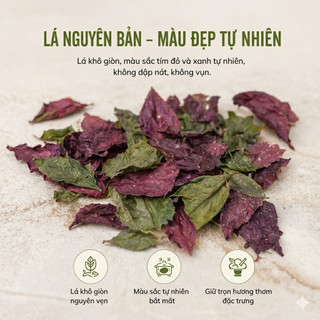 Lá Đơn Đỏ Khô Nguyên Chất | Tắm Lá, Xông Giải Nhiệt, Chăm Sóc Da Tự Nhiên. Dược Quý Thiên Phúc