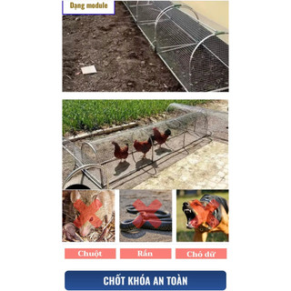 Chuồng gà đường hầm gấp gọn