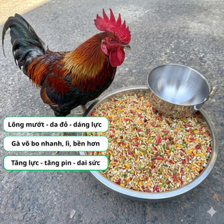 Ngũ Cốc Gà Đá Như Trương Loại 1 - Thức Ăn Cao Cấp Giúp Gà Chọi Tăng Cơ, Nở Khung, Sung