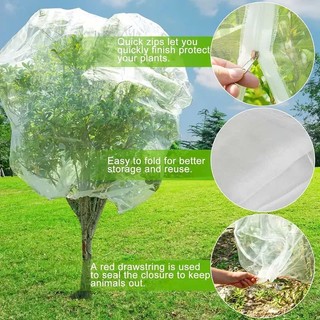 0.7*1M Túi lưới mùng trùm cây ăn trái ngăn ruồi vàng và các loại sâu bệnh, lưới tốt - Có dây rút (hàng tốt)