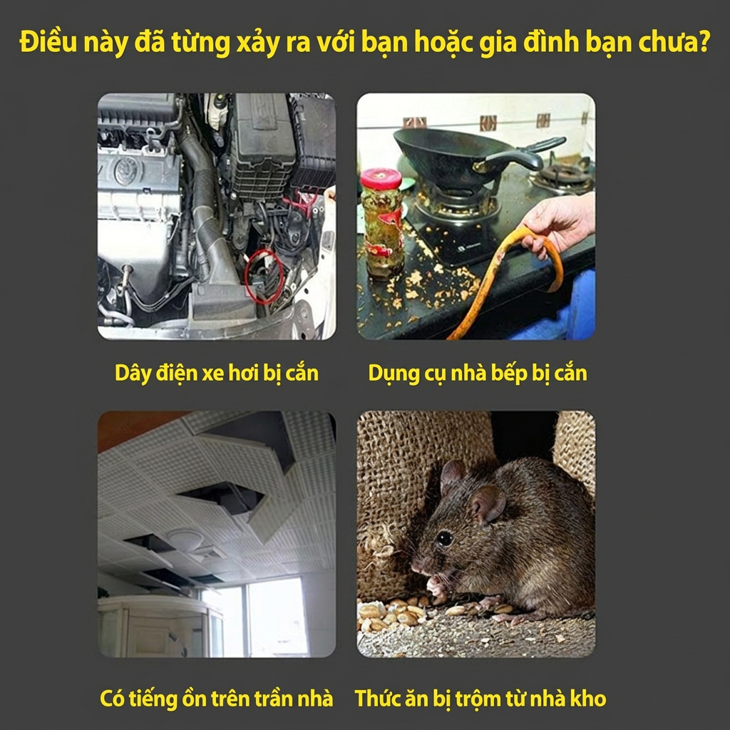 Hiệu quả bùng nổ viên đuổi chuột, chuột rời đi ngay khi sử dụng - mua 1 tặng 1