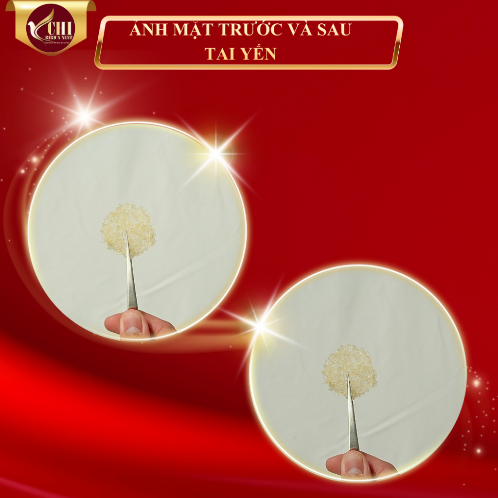 Yến Vụn Đắp Tổ Dạng Viên Baby Dùng Thử 10 Gram Nguyên Chất 100% - Yến Sào Yến Chi - Yến Tinh Chế YETC 002