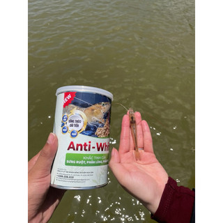 ANTI WHITE (PHIÊN BẢN MỚI) Chuyên các bệnh sưng ruột ,phân trắng, phân lỏng, cân bằng hệ vi sinh đường ruột tôm.