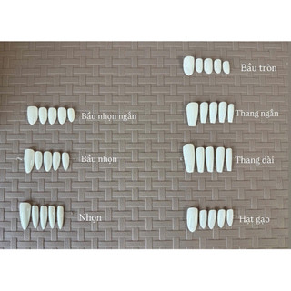 Nailbox móng tay giả thiết kế sang trọng basic đơn giản nhã nhặn đi tiệc hằng ngày nude hồng tráng gương (A13)