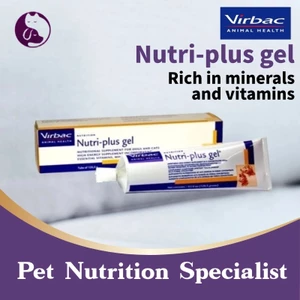 Gel Dinh Dưỡng Cho Chó Mèo Nutri Plus Gel Virbac Bổ Sung Năng Lượng Nhanh Chóng Giàu Vitamin Khoáng Chất 120,5g