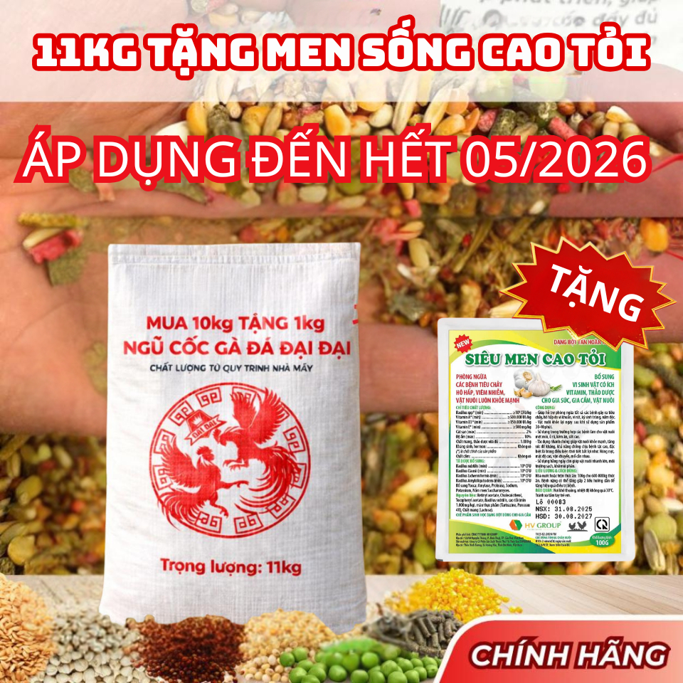 [11kg - Men sống cao tỏi] Ngũ Cốc Gà Đá Đại Đại, Đầy Đủ Dưỡng Chất,Phát Triển Lông Mượt, Mau Lên Tay