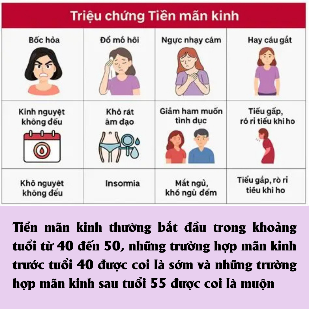 Trà túi lọc BỐC HỎA - TIỀN MÃN KIlNH Calen cho phụ nữ tiền mãn kilnh sớm, bổ khí huyết, ngừa lão hóa sớm