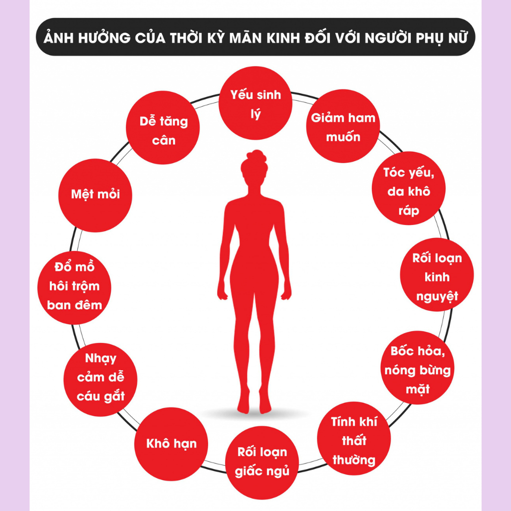 Trà túi lọc BỐC HỎA - TIỀN MÃN KIlNH Calen cho phụ nữ tiền mãn kilnh sớm, bổ khí huyết, ngừa lão hóa sớm