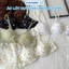 Combo 3 Áo Ngực Nữ Mút Mỏng Họa Tiết Mèo Kitty, Áo Lót Không Gọng Dây Chắn Chắn ZANABRA A224