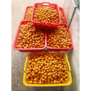 Hũ Mơ ngâm đường giải nhiệt mùa hè