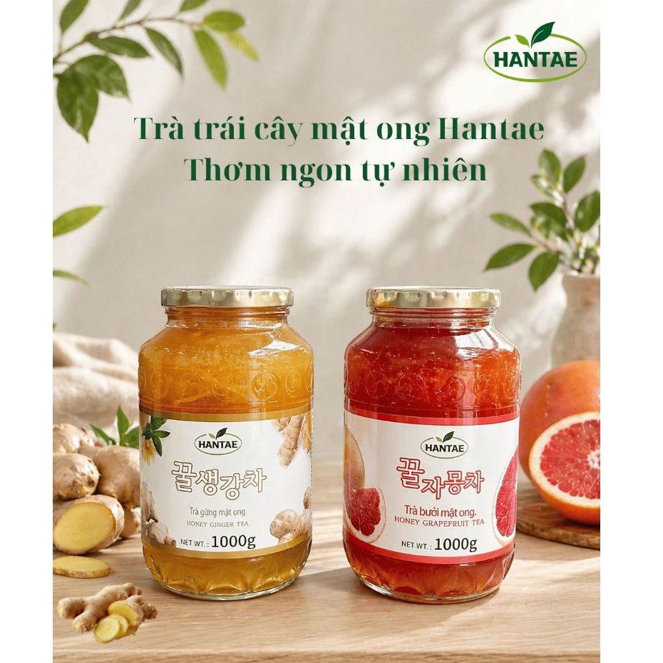 TRÀ BƯỞI + TRÀ GỪNG MẬT ONG HANTAE | TRỊ HO HIỆU QUẢ