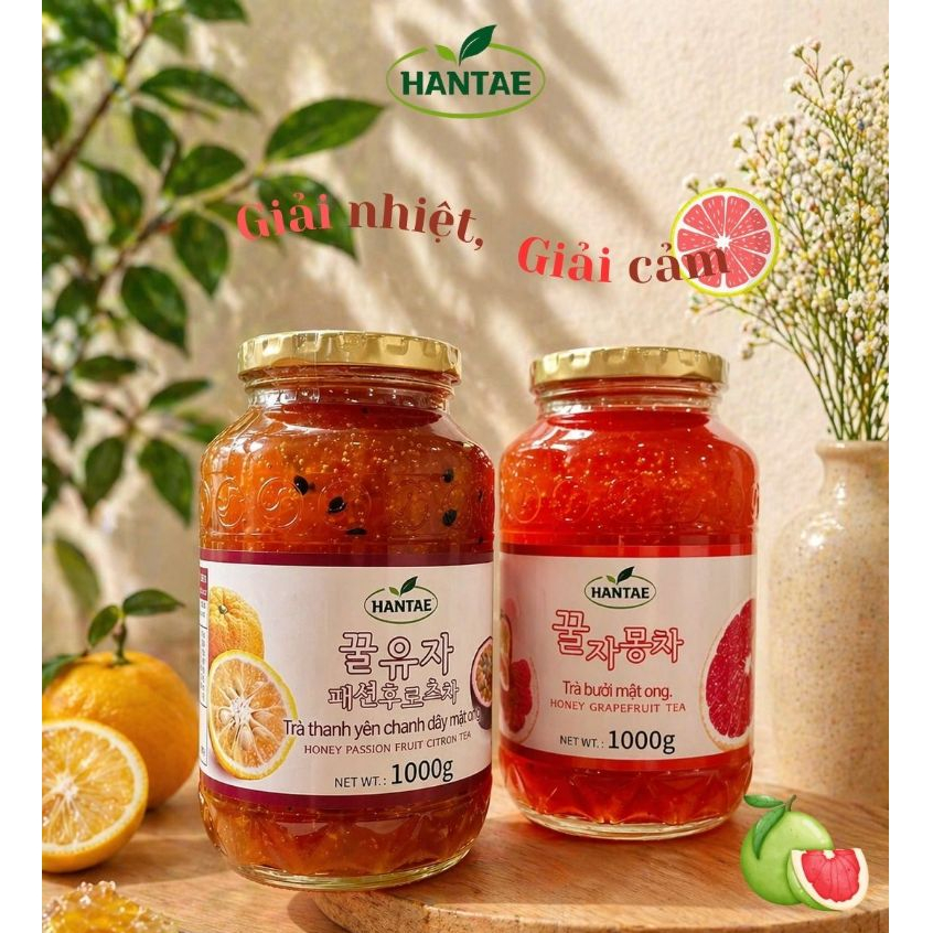 TRÀ BƯỞI + TRÀ GỪNG MẬT ONG HANTAE | TRỊ HO HIỆU QUẢ