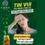 Trà tiền đình Calen Nature's Farm rối loại tiền đình trung ương, hoa mắt chóng mặt ù tai, chóng mặt