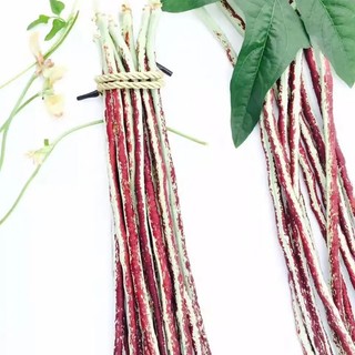 Hạt giống đậu đũa dễ trồng- Multicolour Pole Sitao Seeds-10viên