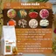 Trà tiền đình Calen Nature's Farm rối loại tiền đình trung ương, hoa mắt chóng mặt ù tai, chóng mặt