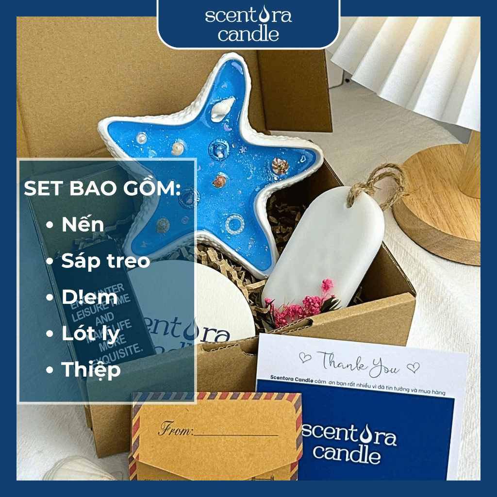 Nến hình Sao Biển Scentora Candle, Nến Ốc Sò Đại Dương Lấp Lánh làm Quà Tặng, Trang Trí Decor Phòng