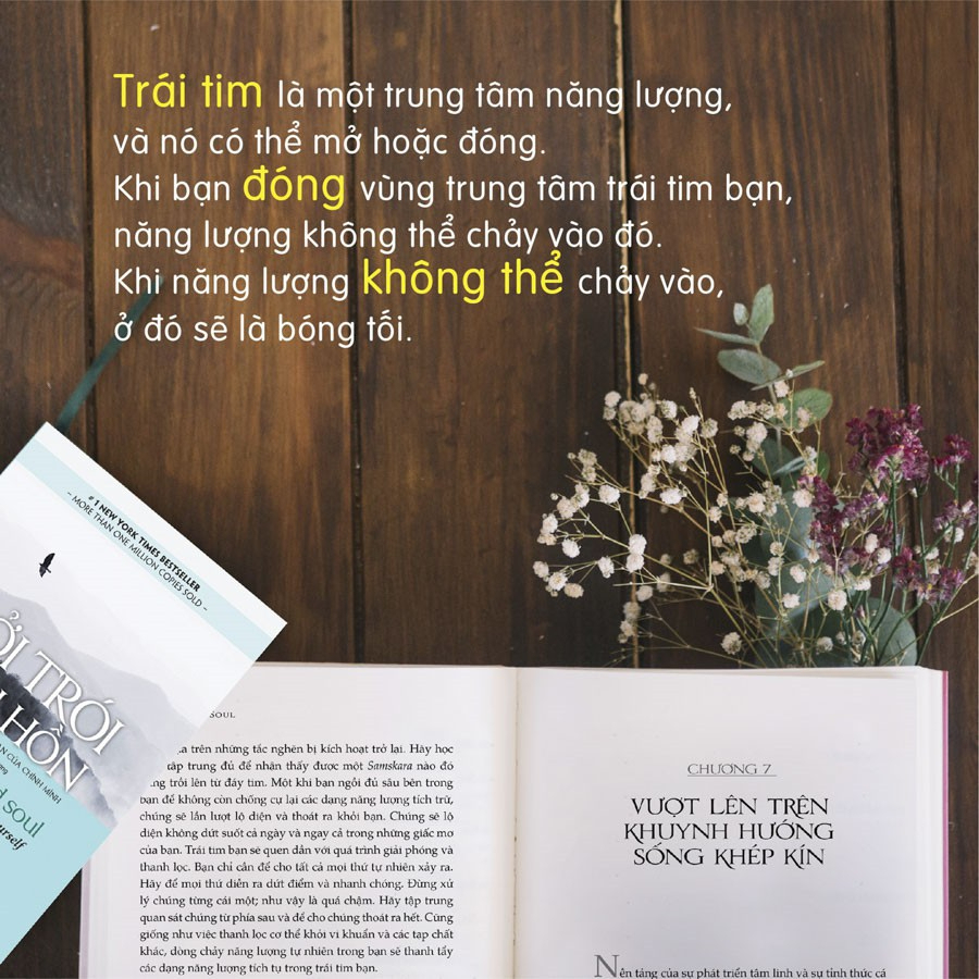 Sách - Cởi Trói Linh Hồn - Hành Trình Vượt Qua Giới Hạn Của Chính Mình - Michael A. Singer