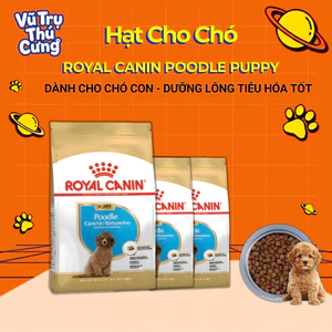Thức Ăn Hạt Cho Chó Con Royal Canin Poodle Puppy