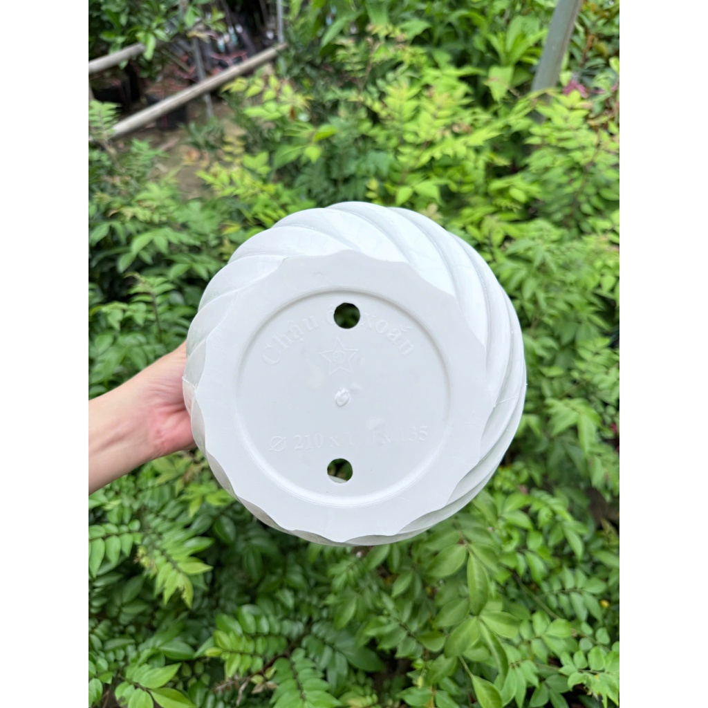 Chậu cây Nhựa Ốc Xoắn Kimbiofarm  – Chậu Trồng Cây Cảnh, Cây Ăn Trái, Thoát Nước Tốt