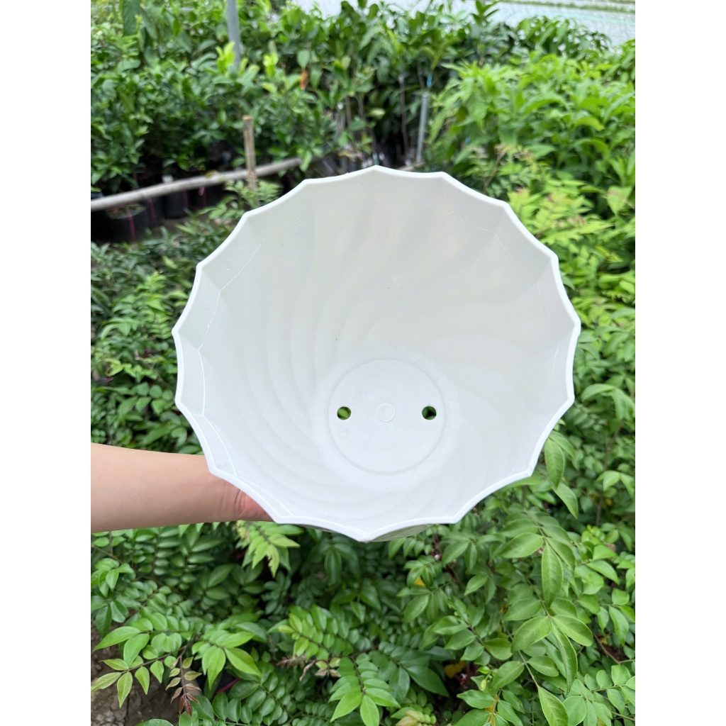Chậu cây Nhựa Ốc Xoắn Kimbiofarm  – Chậu Trồng Cây Cảnh, Cây Ăn Trái, Thoát Nước Tốt