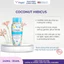 Gel Vệ Sinh Vagisil Hương Dừa Coconut Hibiscus Ngăn Mùi 24h, Cân Bằng pH, Lưu Hương Thơm Mát 240m