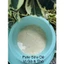 Pate sữa dê FAENBEI cho mèo - Gói 85g
