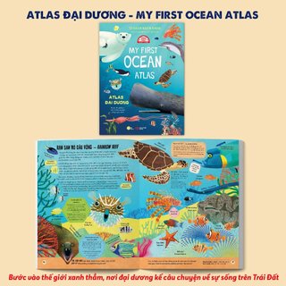 Sách Tủ Sách Bách Khoa - Encyclopedia Collection - My First World/Ocean/Jungle/Dinosaur/Space - Song Ngữ Việt-Anh