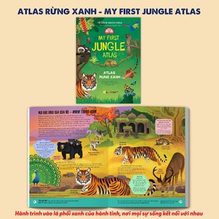 Sách Tủ Sách Bách Khoa - Encyclopedia Collection - My First World/Ocean/Jungle/Dinosaur/Space - Song Ngữ Việt-Anh