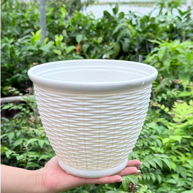 Chậu cây mây đan vành – Chậu trồng cây nhỏ gọn, thoát nước tốt, phù hợp nhiều loại cây
