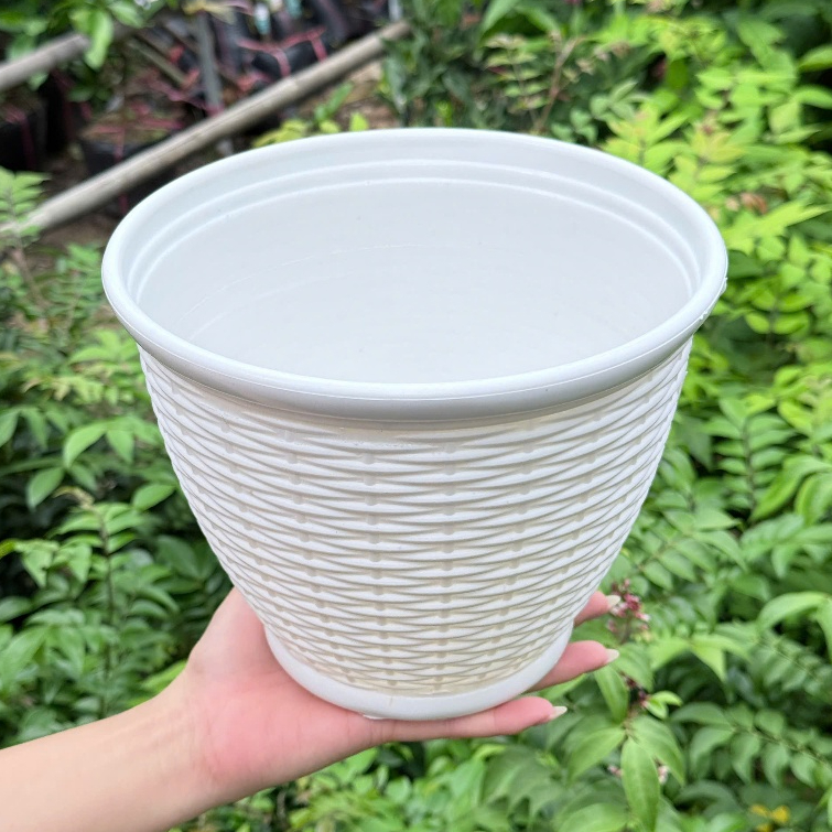 Chậu cây mây đan vành – Chậu trồng cây nhỏ gọn, thoát nước tốt, phù hợp nhiều loại cây