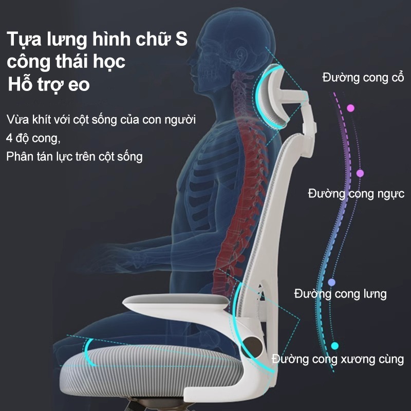 Ghế văn phòng thoải mái: Hỗ trợ thắt lưng, đầu tựa điều chỉnh, tay vịn linh hoạt