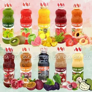 Sinh tố trái cây Vina chai nhựa 1000g