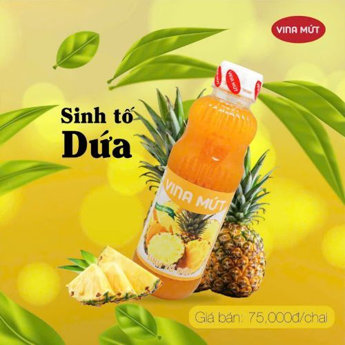 Sinh tố Vina chai nhựa 1000g