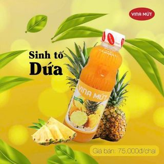 [Chính hãng] Sinh tố trái cây Vina chai nhựa 1000g