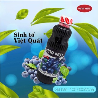 [Chính hãng] Sinh tố trái cây Vina chai nhựa 1000g